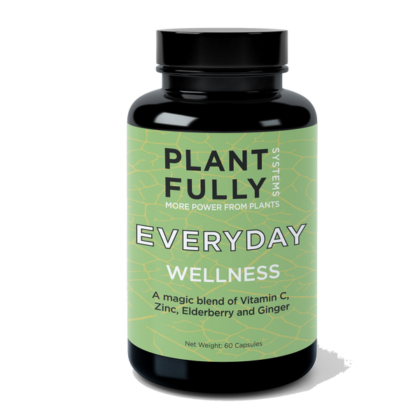 EVERYDAY WELLNESS - Stay Healthy & Well